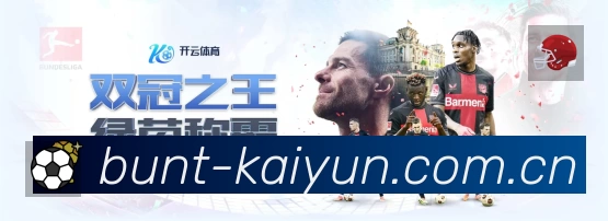 全球访问热力分布图